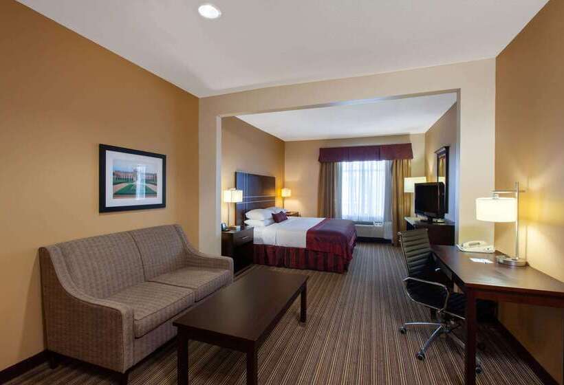 호텔 Wingate By Wyndham Houston / Willowbrook