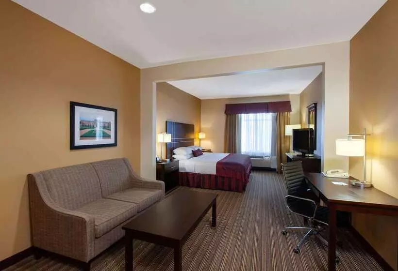 Hotel Wingate By Wyndham Houston / Willowbrook