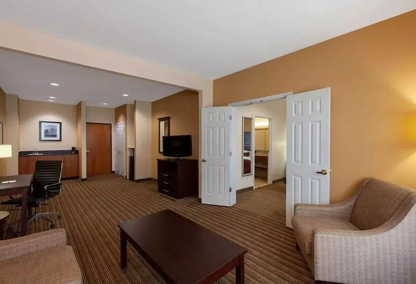 Hotel Wingate By Wyndham Houston / Willowbrook