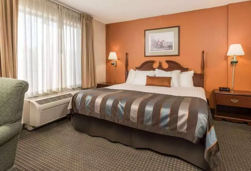 בית מלון כפרי Wingate By Wyndham Airport   Rockville Road