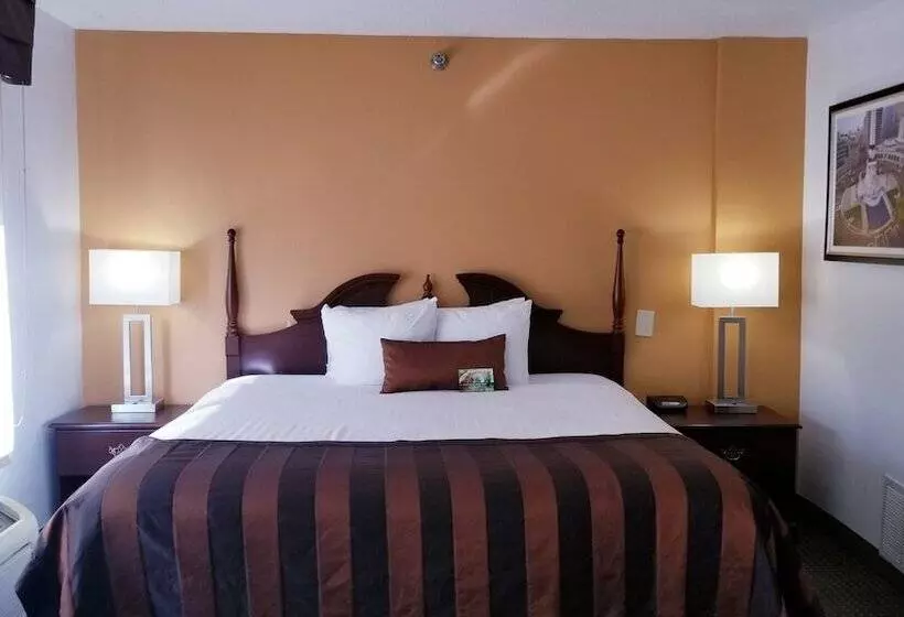 בית מלון כפרי Wingate By Wyndham Airport   Rockville Road