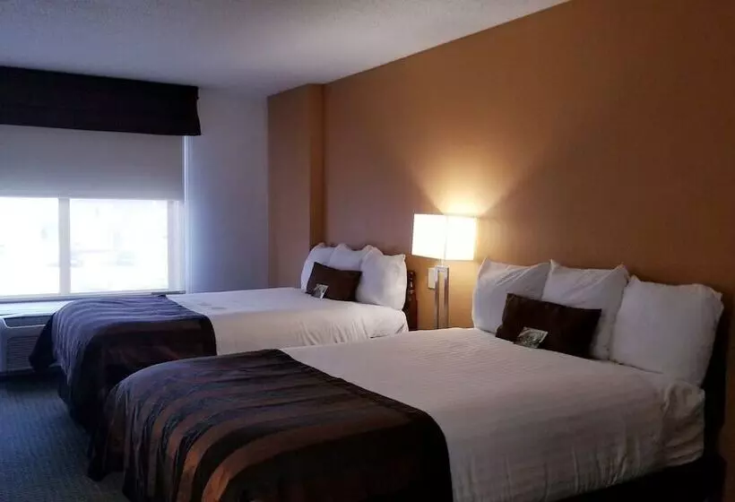 בית מלון כפרי Wingate By Wyndham Airport   Rockville Road