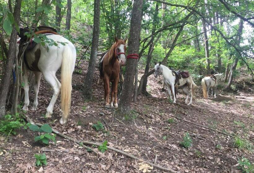 호스텔 Rifugio Casa Ressia