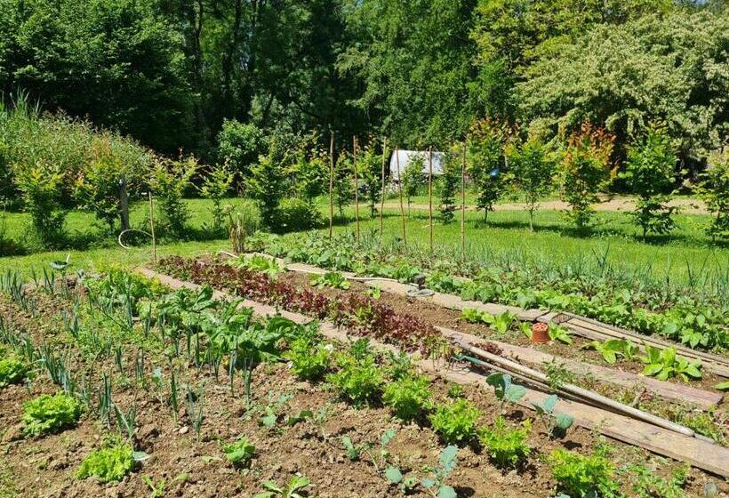 住宿加早餐 Gîte Et Chambres D'hôtes Du Petit Moulin