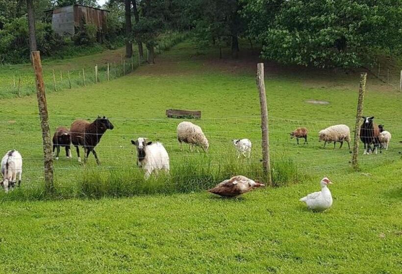 住宿加早餐 Gîte Et Chambres D'hôtes Du Petit Moulin