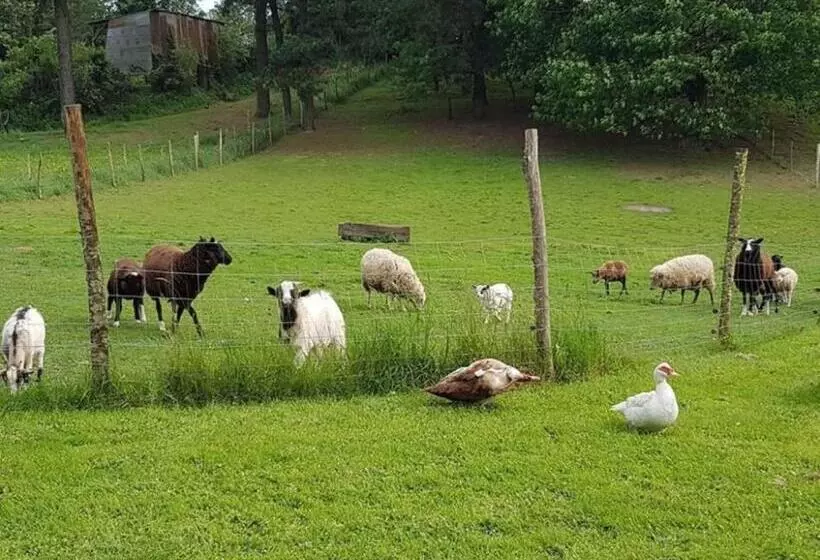 Aamiaismajoitus (B&B) Gîte Et Chambres D'hôtes Du Petit Moulin