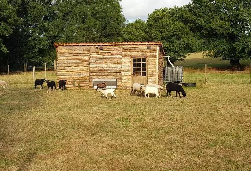 Aamiaismajoitus (B&B) Gîte Et Chambres D'hôtes Du Petit Moulin
