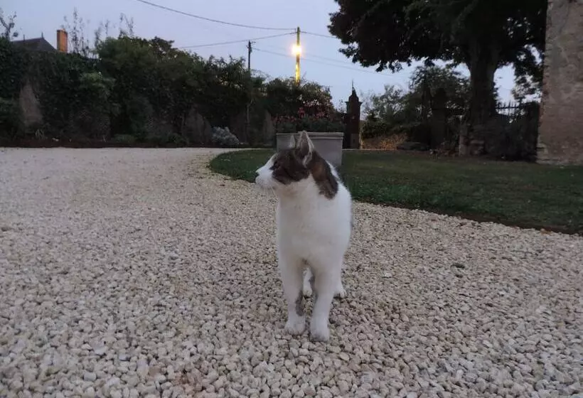 Aamiaismajoitus (B&B) La Jariette