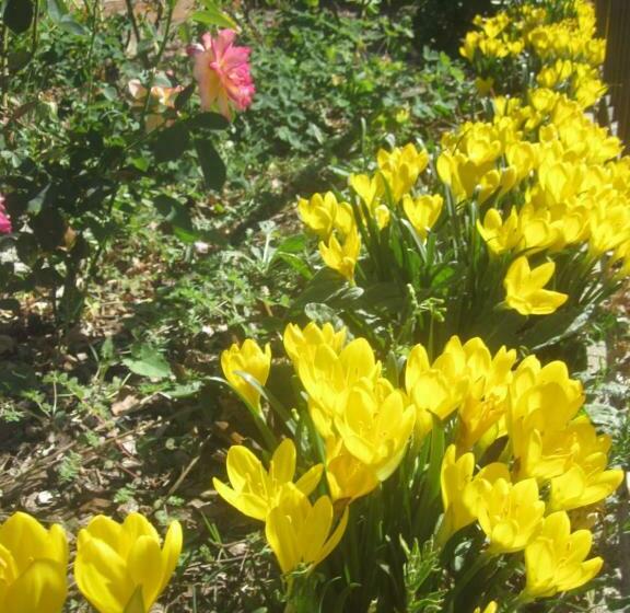 Bed and Breakfast Le Mas Lauralie