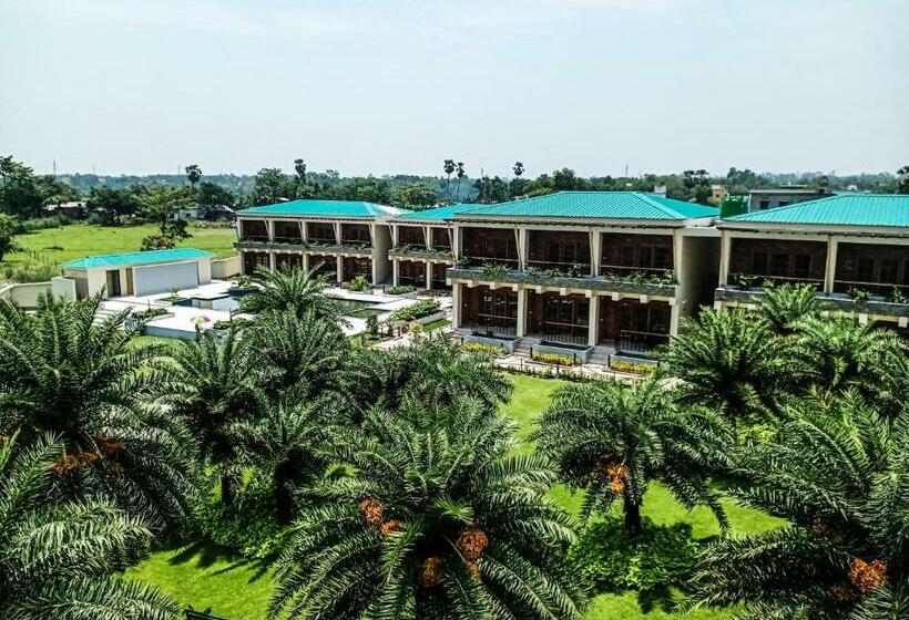 酒店 The Creek Boutique Resort & Spa