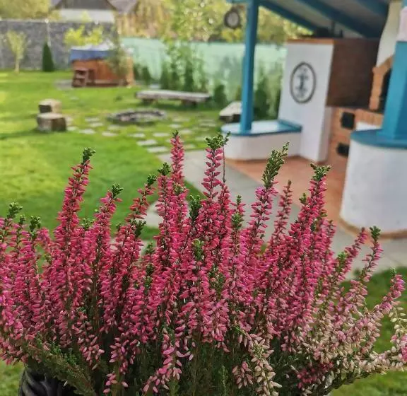 Majatalo Chalet Bora