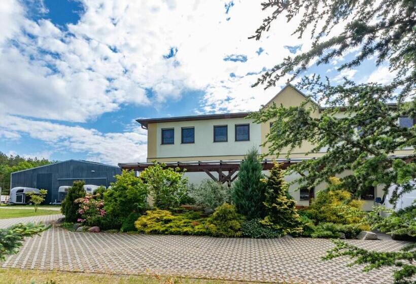 Pension Zum Reiterhof