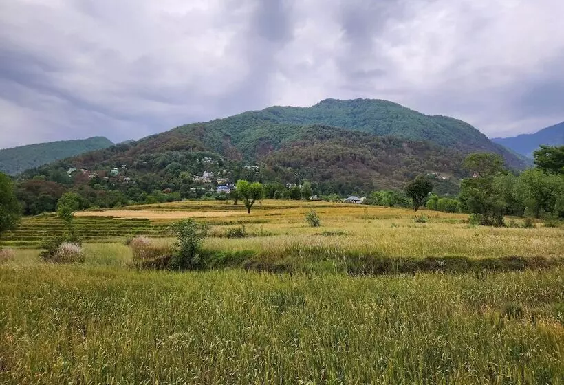 Retkeilymaja Hipostel Bir   Stay And Cafe