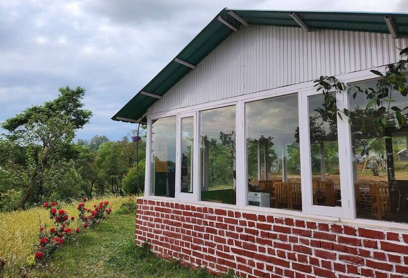 旅馆 Hipostel Bir Stay And Cafe