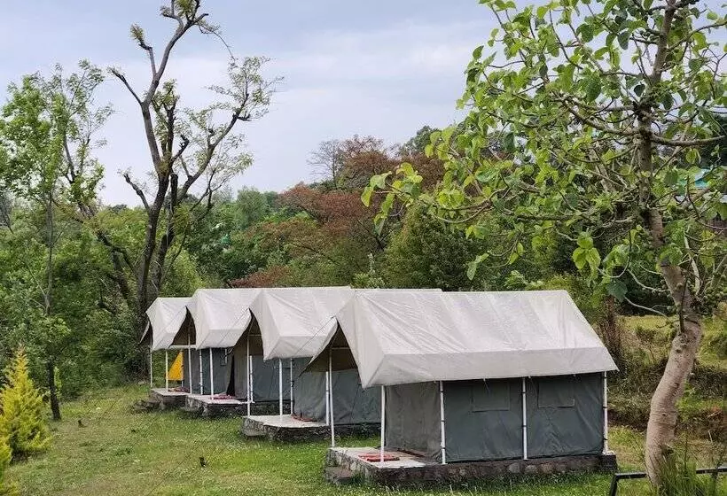 Retkeilymaja Hipostel Bir   Stay And Cafe