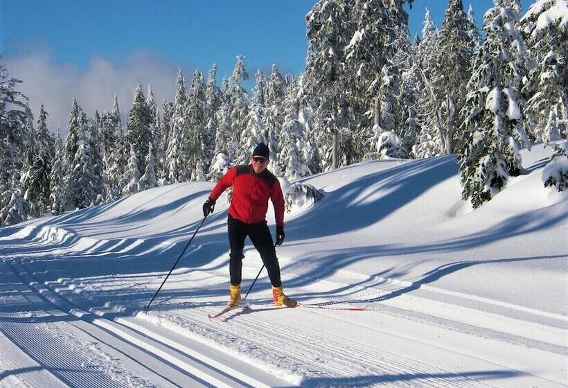 旅馆 Up The Creek Backpacker's Lodge