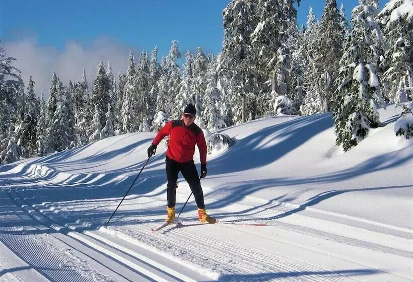 Retkeilymaja Up The Creek Backpacker's Lodge