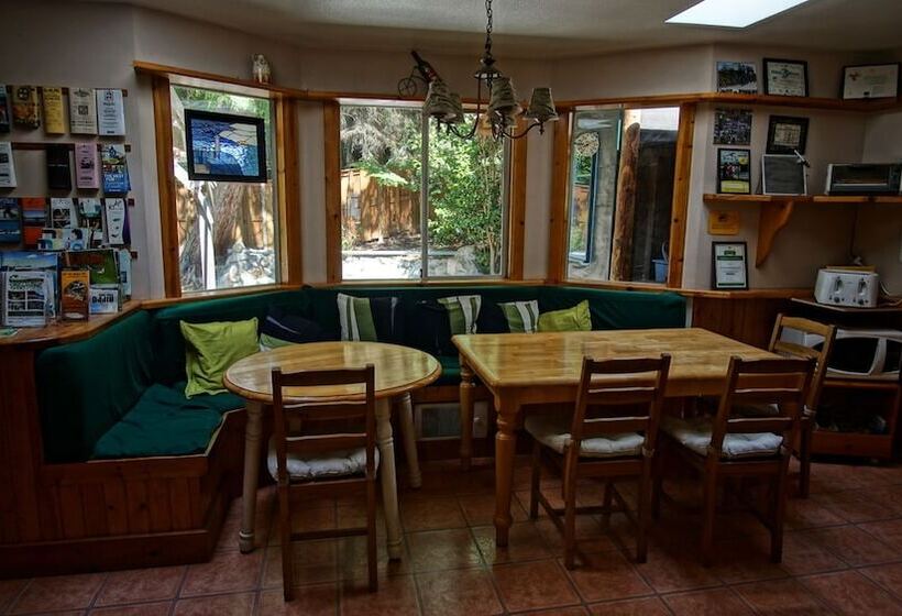 旅馆 Up The Creek Backpacker's Lodge