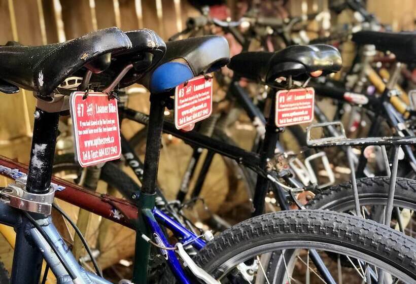 旅馆 Up The Creek Backpacker's Lodge