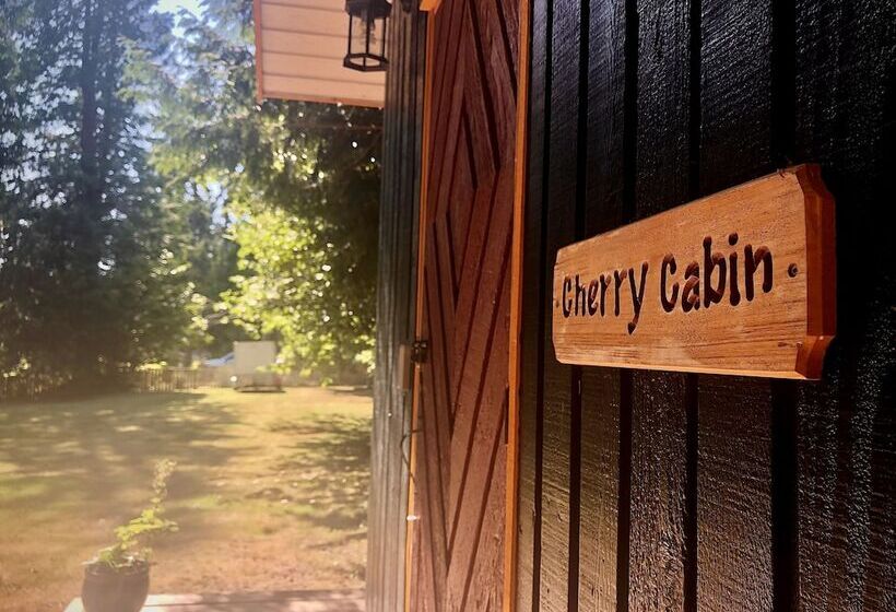 旅馆 Up The Creek Backpacker's Lodge