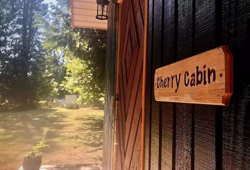 Retkeilymaja Up The Creek Backpacker's Lodge