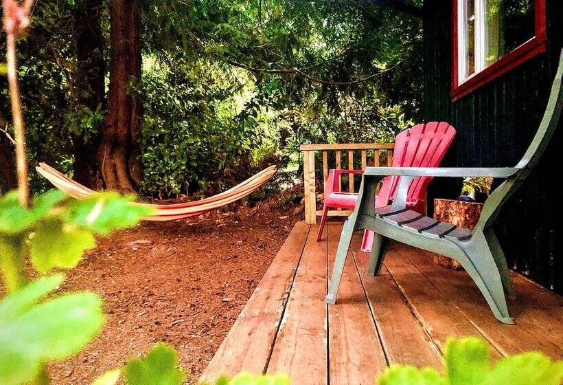 旅馆 Up The Creek Backpacker's Lodge