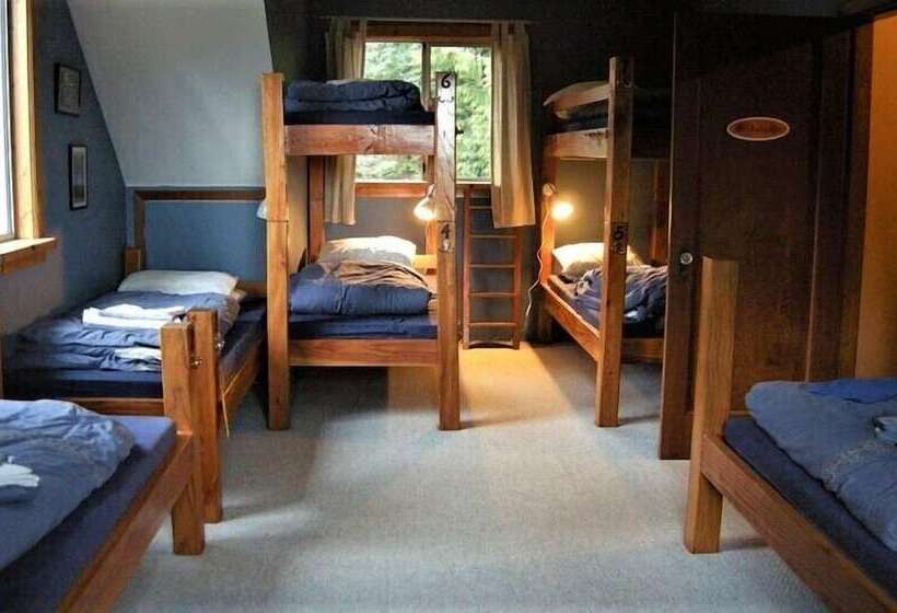 旅馆 Up The Creek Backpacker's Lodge