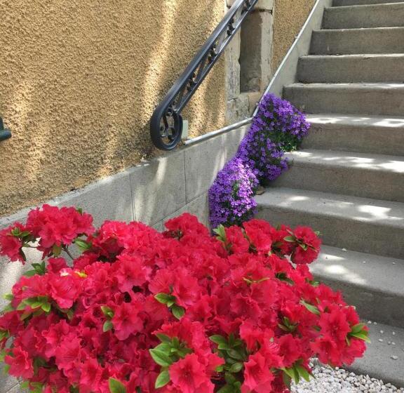 민박 Domaine Forvent