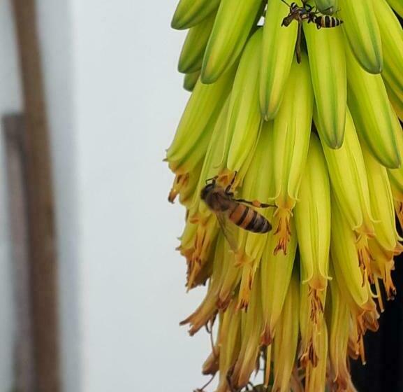 민박 Hostal Villa Brisa