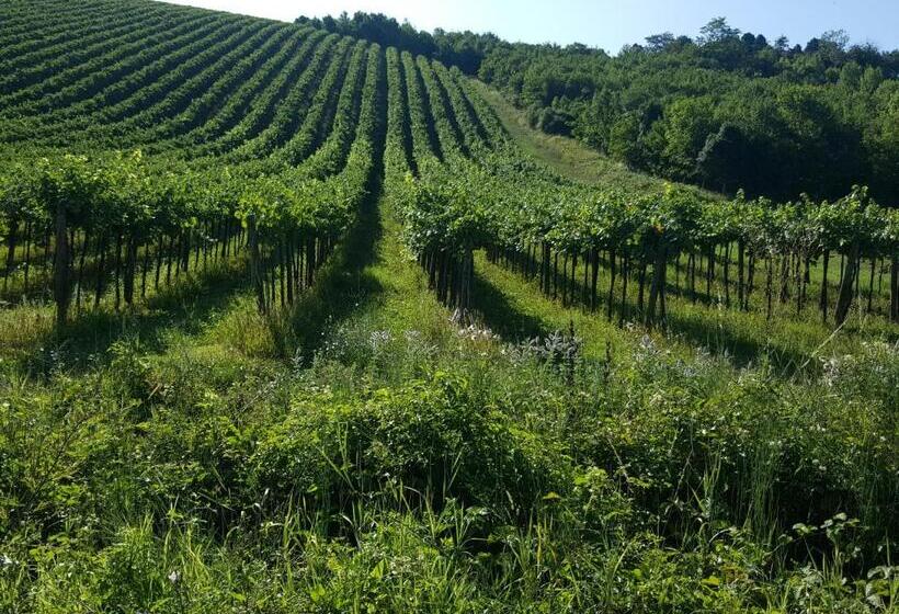 住宿加早餐  La Terrazza Sui Vigneti Rovescala