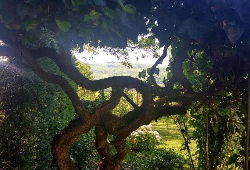 住宿加早餐  La Terrazza Sui Vigneti Rovescala