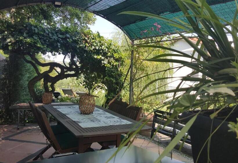 住宿加早餐  La Terrazza Sui Vigneti Rovescala