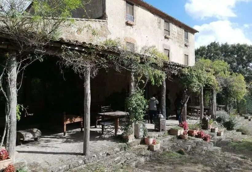 ホテル Agriturismo Locanda Settimo Cielo