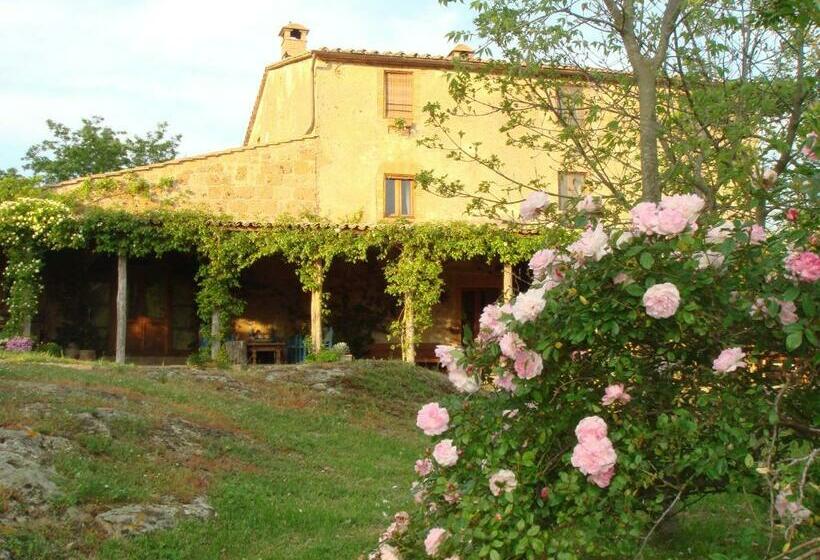 Отель Agriturismo Locanda Settimo Cielo