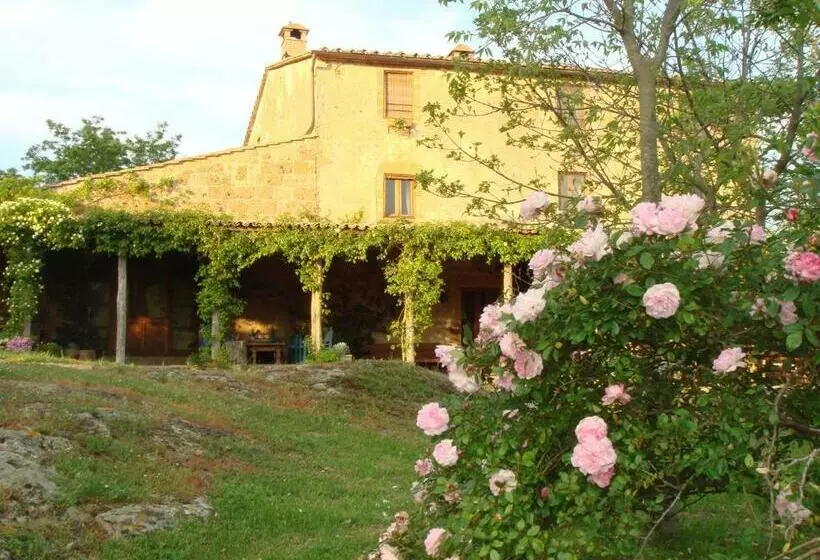 ホテル Agriturismo Locanda Settimo Cielo