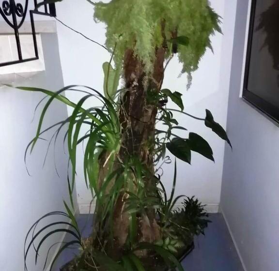 ホテル Marli Plaza