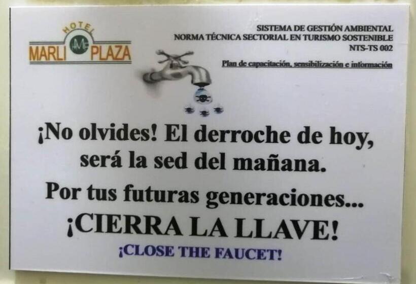 ホテル Marli Plaza