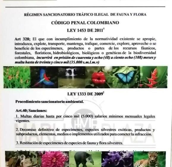 ホテル Marli Plaza