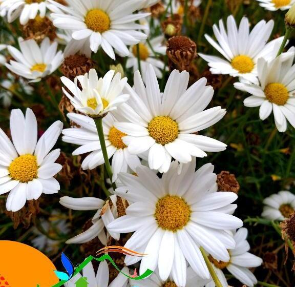 Отель Miravalle Quilotoa