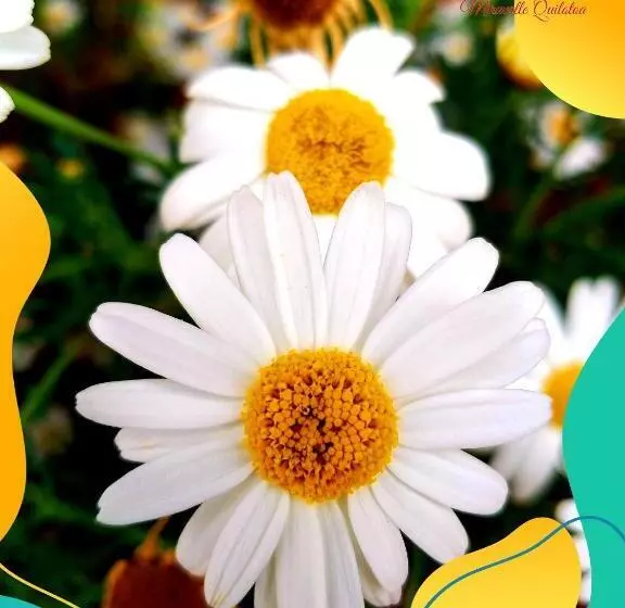 Hotelli Miravalle Quilotoa