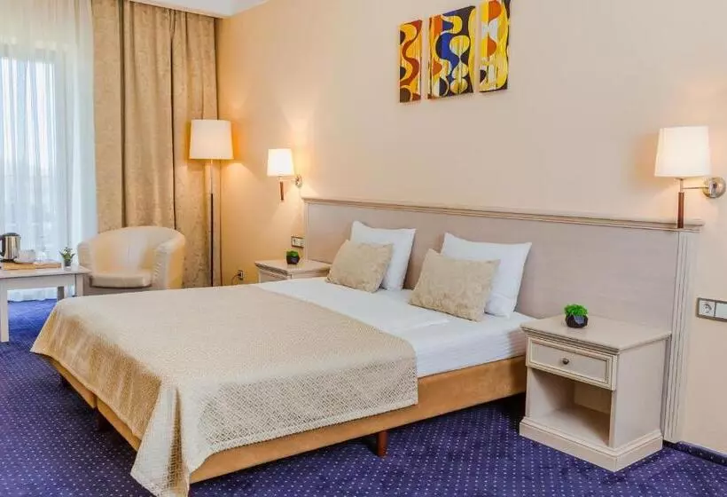 ホテル Platium Spa&resort