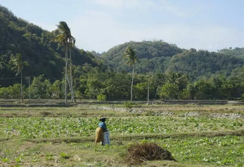 Suku Lifestyle Hotel & Villas