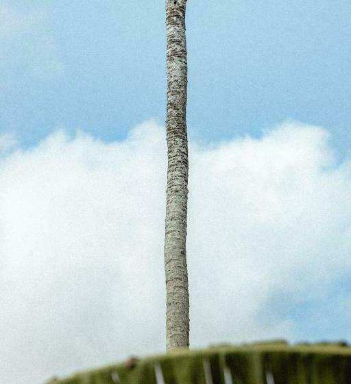 Suku Lifestyle Hotel & Villas