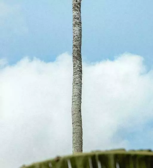 Suku Lifestyle Hotel & Villas