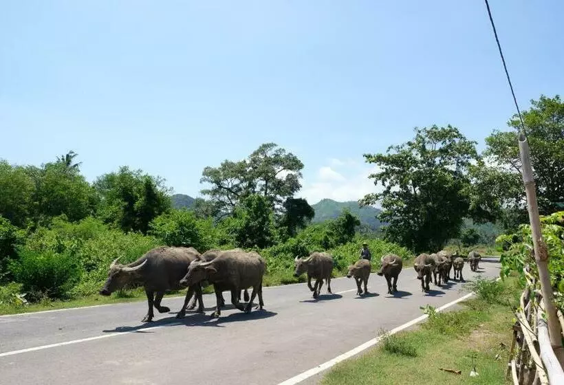 Suku Lifestyle Hotel & Villas