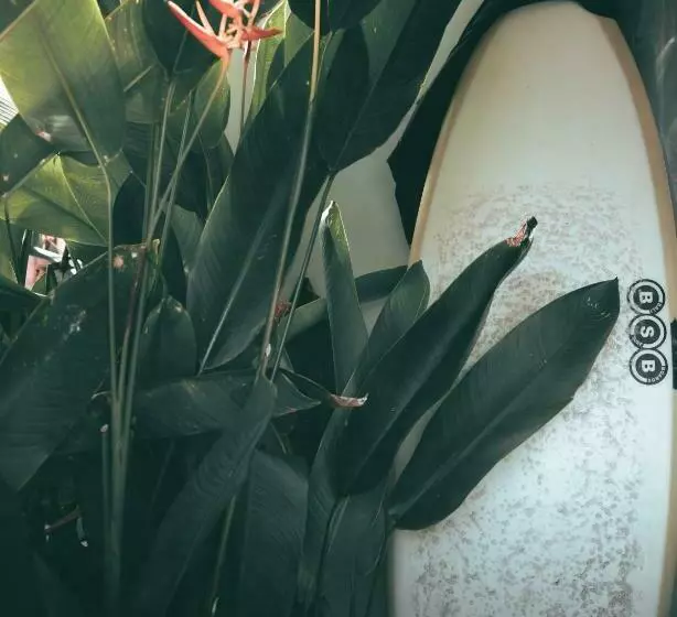 Suku Lifestyle Hotel & Villas