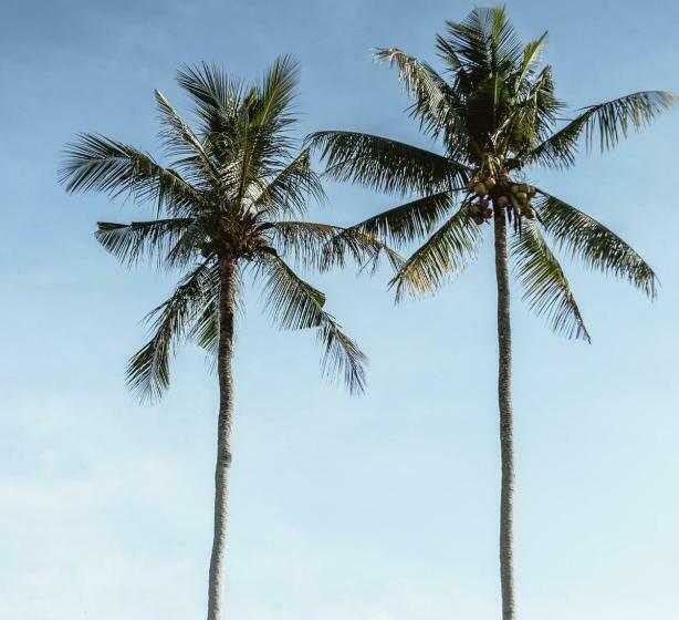 Suku Lifestyle Hotel & Villas