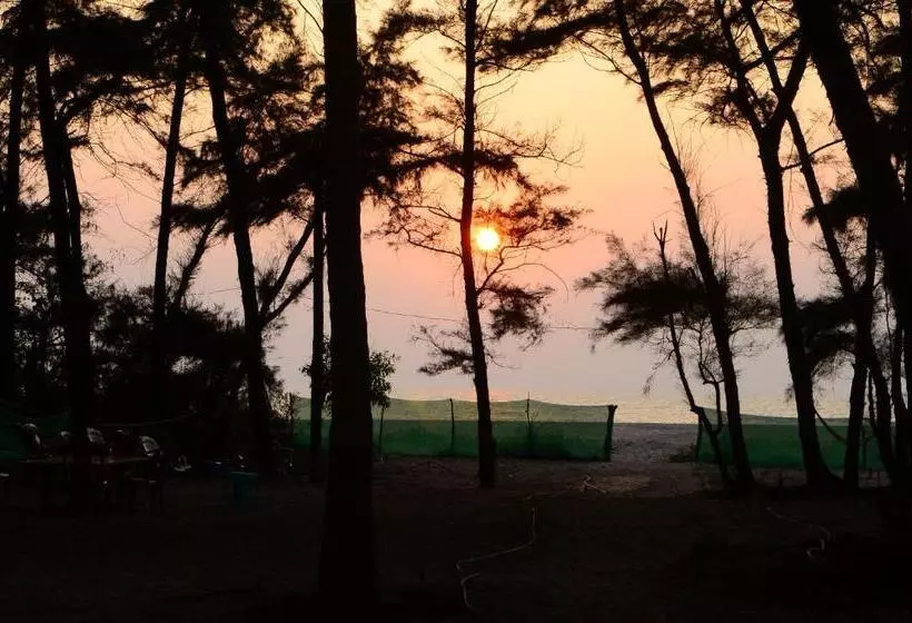 Palm Beach Resort