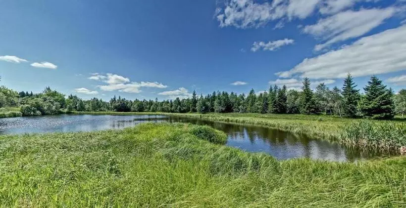 Majatalo Penzion Studánka, Klíny