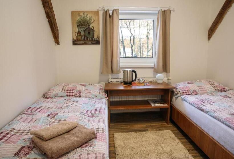 بنسيون Penzion Tyra